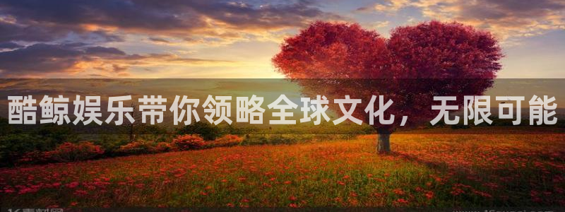 安信12最新版本更新内容：酷鲸娱乐带你领略全球文化，无限可能