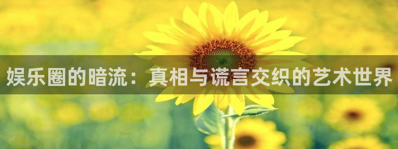 安信12登陆：娱乐圈的暗流：真相与谎言交织的艺术世界