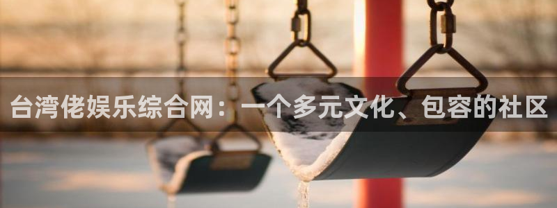 安信12注册：台湾佬娱乐综合网：一个多元文化、包容的社区