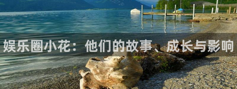 安信12：娱乐圈小花：他们的故事、成长与影响