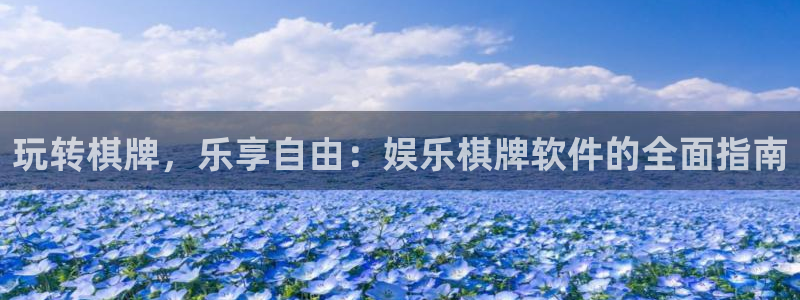 安信12最新版本更新内容：玩转棋牌，乐享自由：娱乐棋牌软件的全面指南