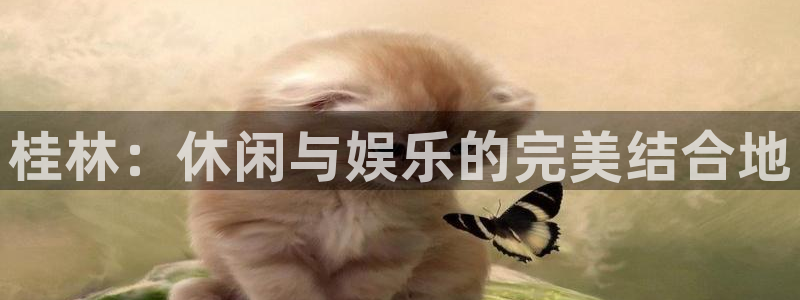 安信12平台登录注册：桂林：休闲与娱乐的完美结合地